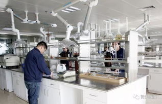 肥西縣高新技術企業認定實現新突破，社會經濟咨詢服務賦能產業升級